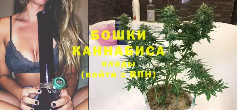 Шишки марихуана THC 21%  Дедовск 